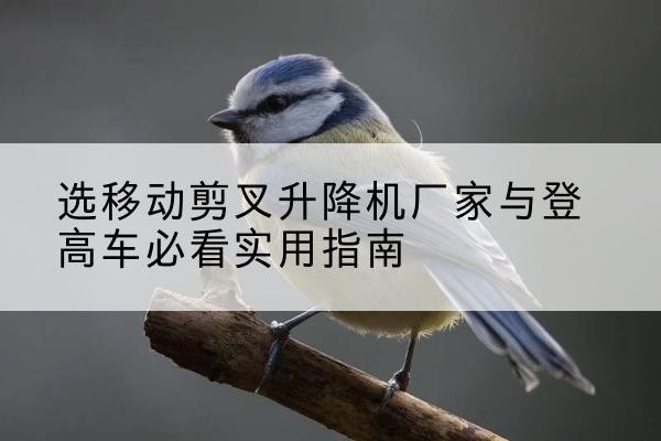 莘县电动升降机厂家-选移动剪叉升降机厂家与登高车必看实用指南