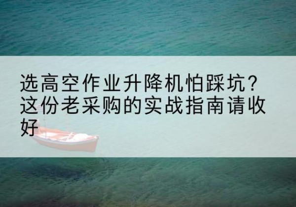 莘县高空作业升降机厂家推荐-选高空作业升降机怕踩坑？这份老采购的实战指南请收好