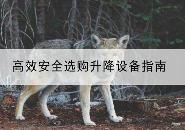 莘县升降货梯厂家推荐-*安全选购升降设备指南
