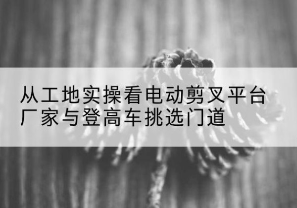 莘县电动剪叉升降平台厂家-从工地实操看电动剪叉平台厂家与登高车挑选门道