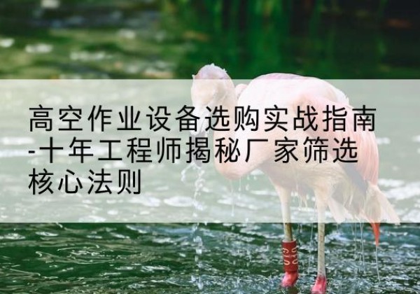 莘县剪叉式升降机厂家-高空作业设备选购实战指南-十年工程师揭秘厂家筛选核心法则